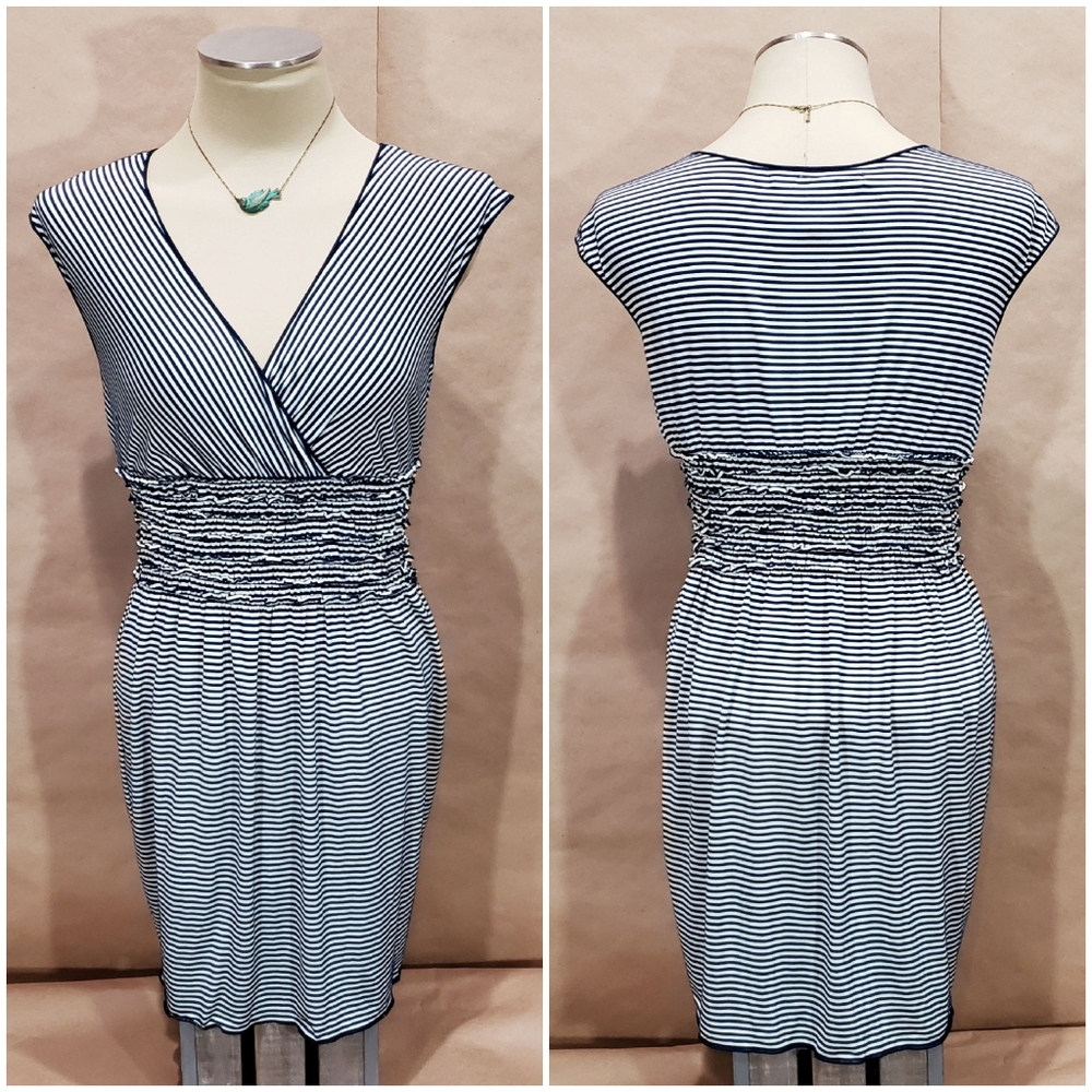 Max Studio Blue & White Striped Dress